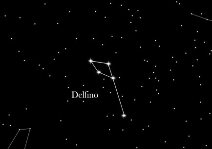 Delphinus