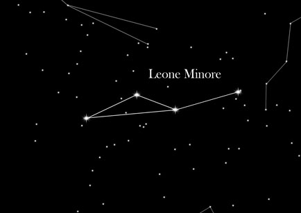 Leone Minore